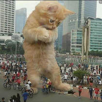 Meowzilla