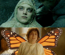 metamorphosis