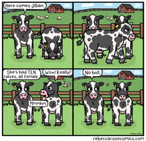  Moomor has it