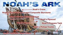 Noahs