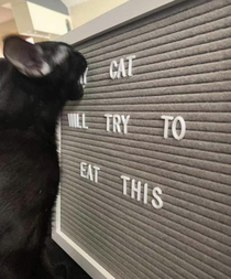 nom