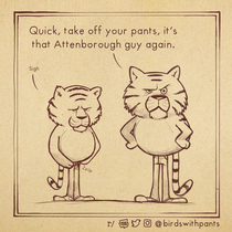  Not that guy again