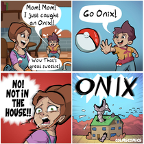  ONIX