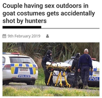 OOF