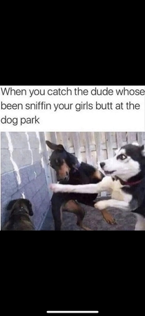 OOOF