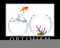 Optimism