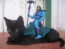 PANTHOR