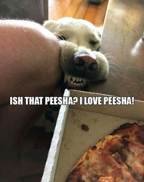 Peesha