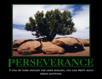 Perseverance