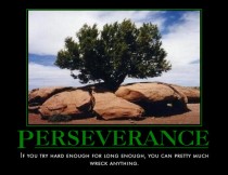 Perseverance