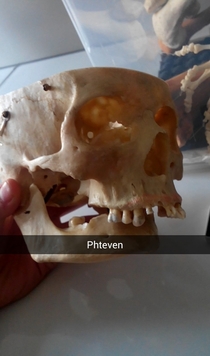Phteven