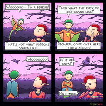 Pigeon