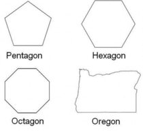 Polygon