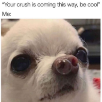 pop