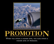 Promotion