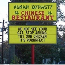 Purrrfect