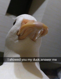 Quack