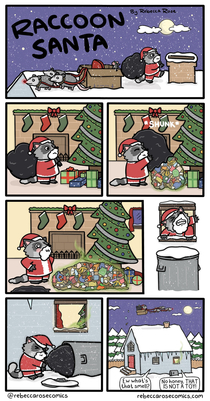  Raccoon Santa