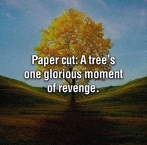 Revenge