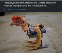 RoboCOCK