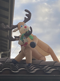 Rudolph