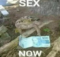 SEX