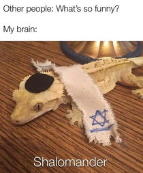 Shalom