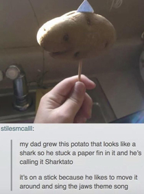 Sharktato