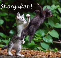 Shoryuken