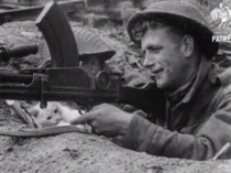  - Snowball the cat tries to take over a machine gun in Normandy so she can shoot some Nazis herself