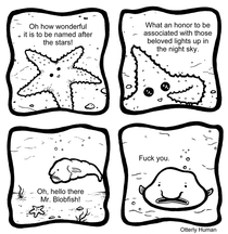 Starfish