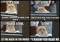 Steve