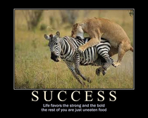 Success