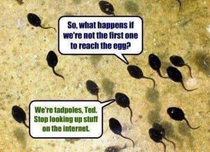 Tadpoles