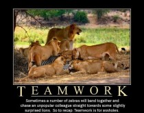 Teamwork