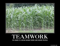 Teamwork