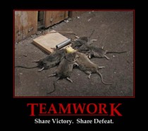 Teamwork