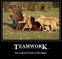  Teamwork