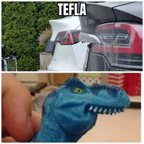 Tefla