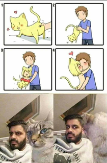 tf