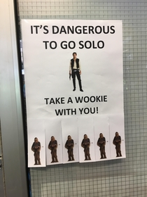  The librarian decided to theme the library in a Star Wars fashion and placed this on the doors
