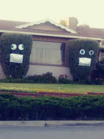  They added silly eyes to the bushes now