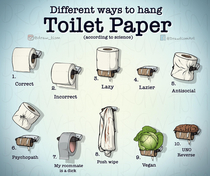  Toilet Paper science