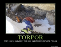 Torpor