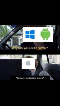 True