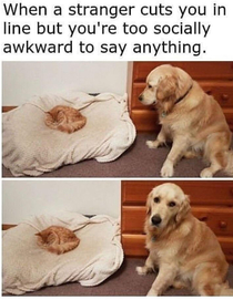 Truth