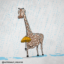 umbrella