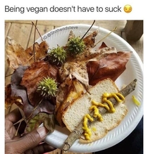 Vegan