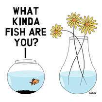  What kinda fish are you By Steve Nelson