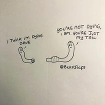  worm problems